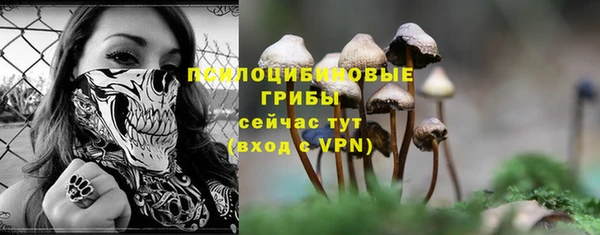 МДПВ Усмань