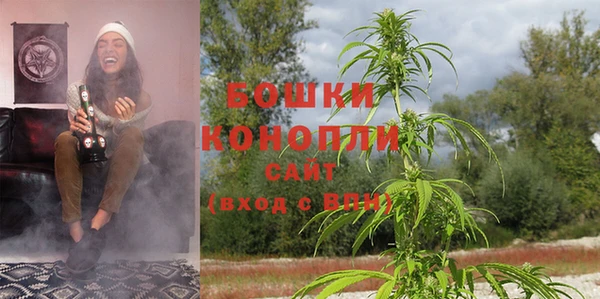 дживик Заводоуковск