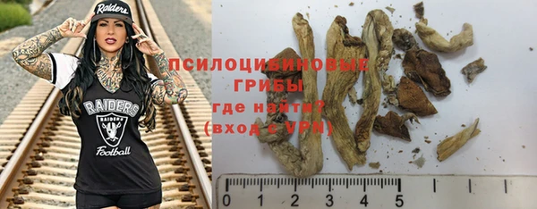 дживик Заводоуковск